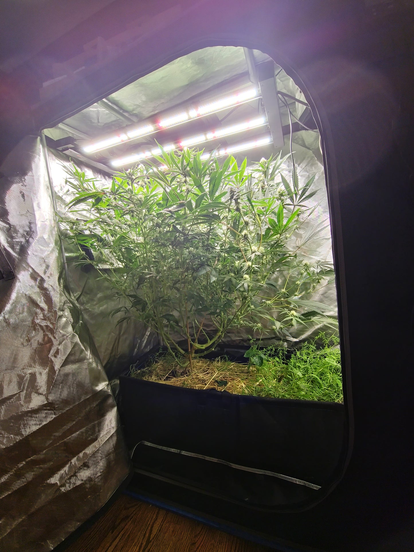 Home Grow Room All-In-One Bundles